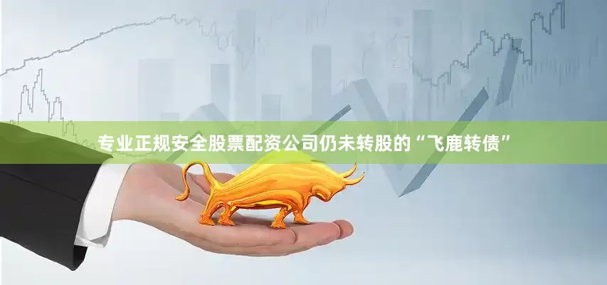 专业正规安全股票配资公司仍未转股的“飞鹿转债”