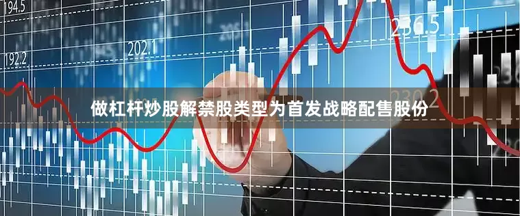 做杠杆炒股解禁股类型为首发战略配售股份