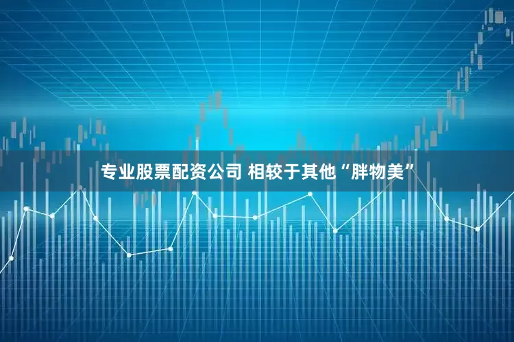 专业股票配资公司 　　相较于其他“胖物美”