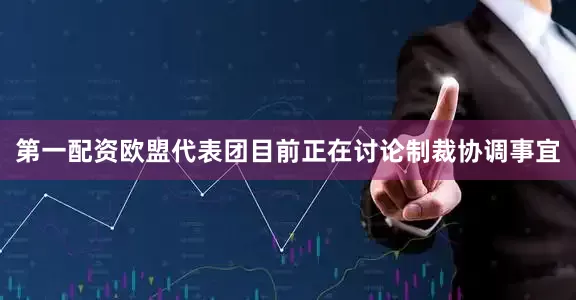 第一配资欧盟代表团目前正在讨论制裁协调事宜