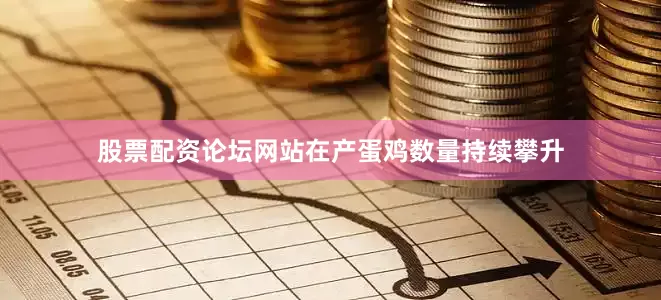 股票配资论坛网站在产蛋鸡数量持续攀升